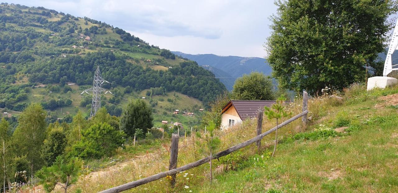 Pensiunea Petru Шугаг Экстерьер фото