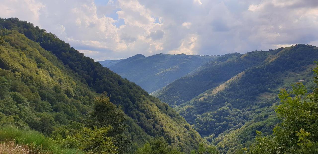 Pensiunea Petru Шугаг Экстерьер фото