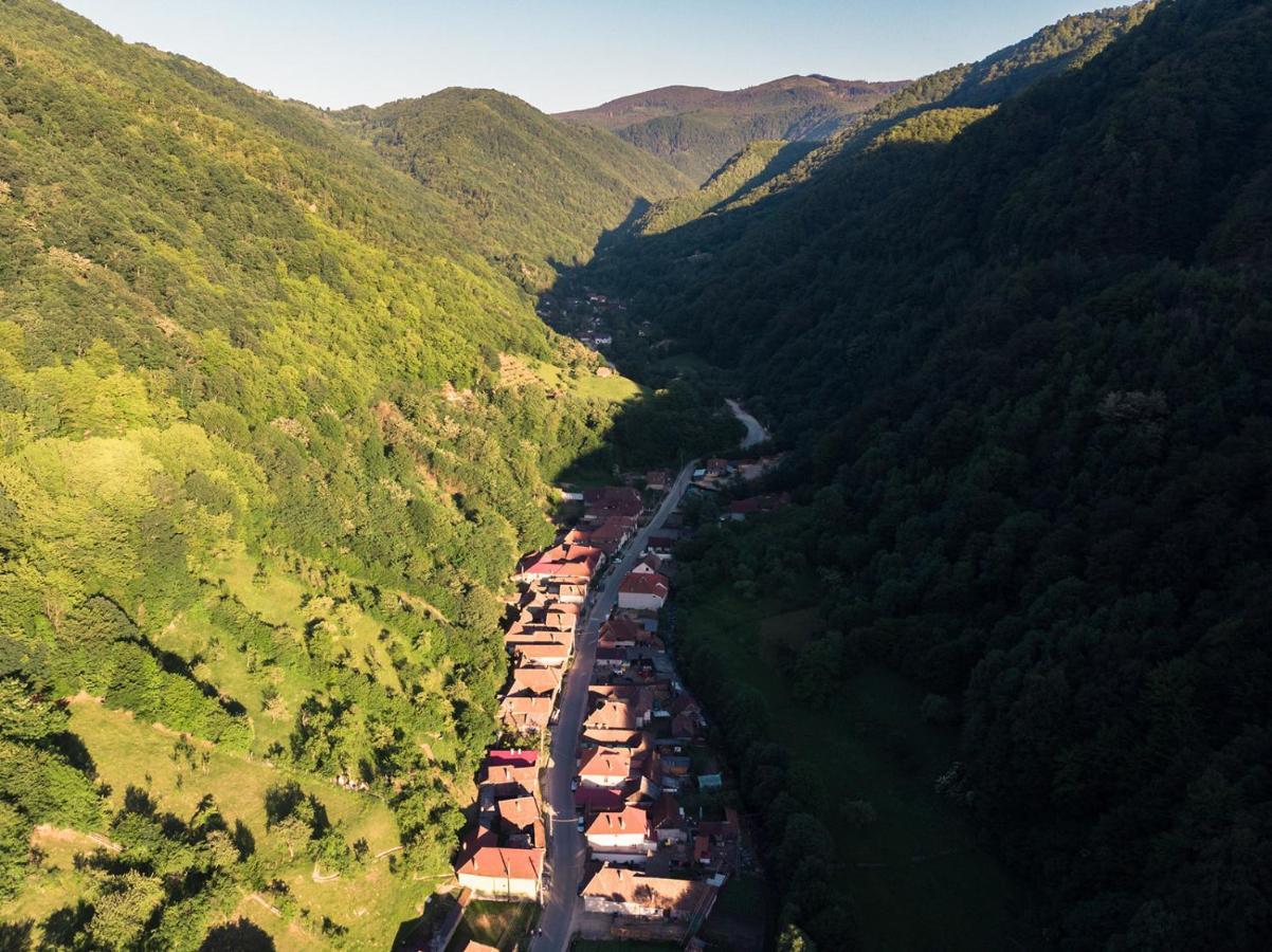 Pensiunea Petru Шугаг Экстерьер фото