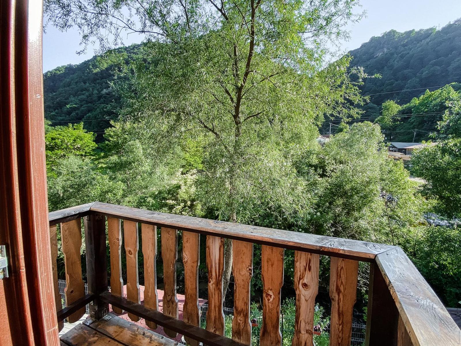 Pensiunea Petru Шугаг Номер фото