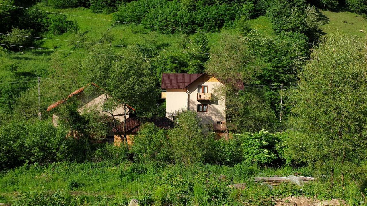 Pensiunea Petru Шугаг Экстерьер фото